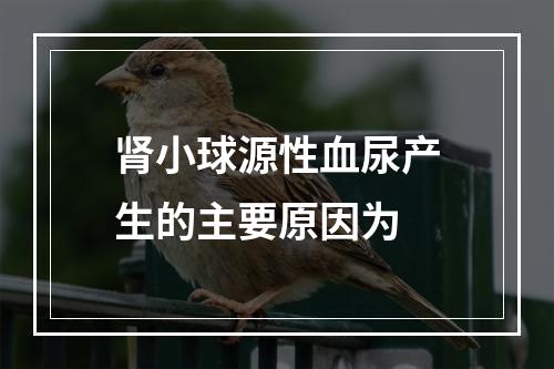 肾小球源性血尿产生的主要原因为