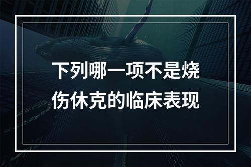 下列哪一项不是烧伤休克的临床表现