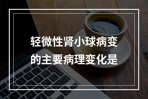 轻微性肾小球病变的主要病理变化是