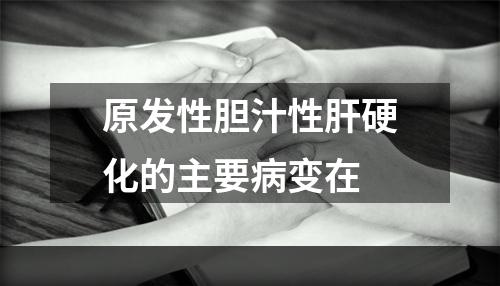 原发性胆汁性肝硬化的主要病变在