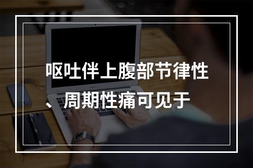 呕吐伴上腹部节律性、周期性痛可见于