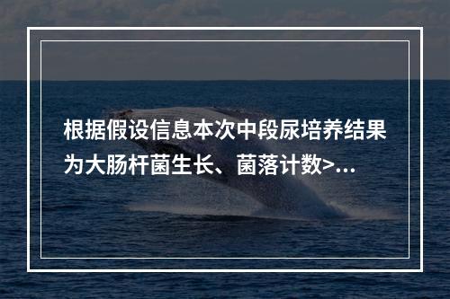 根据假设信息本次中段尿培养结果为大肠杆菌生长、菌落计数>10