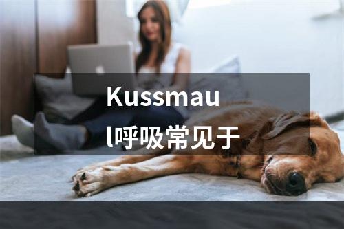 Kussmaul呼吸常见于