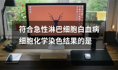 符合急性淋巴细胞白血病细胞化学染色结果的是