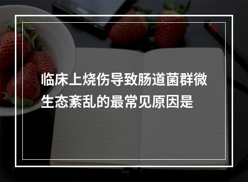 临床上烧伤导致肠道菌群微生态紊乱的最常见原因是