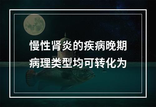 慢性肾炎的疾病晚期病理类型均可转化为