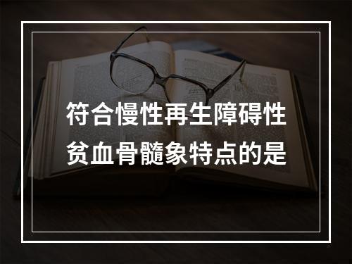 符合慢性再生障碍性贫血骨髓象特点的是