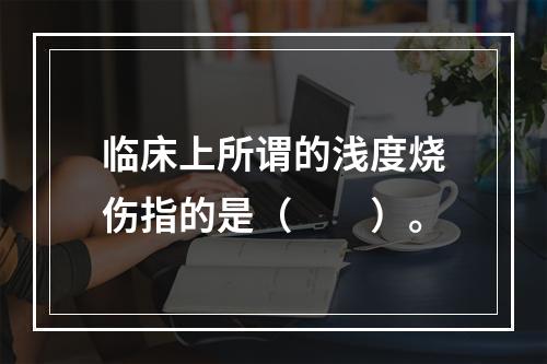 临床上所谓的浅度烧伤指的是（　　）。