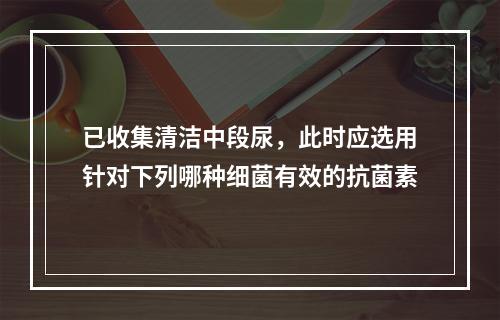 已收集清洁中段尿，此时应选用针对下列哪种细菌有效的抗菌素