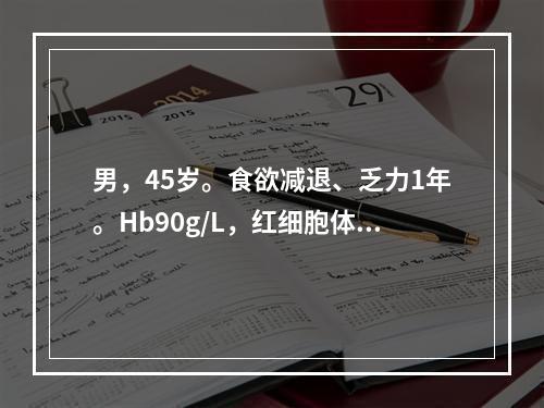 男，45岁。食欲减退、乏力1年。Hb90g/L，红细胞体积分