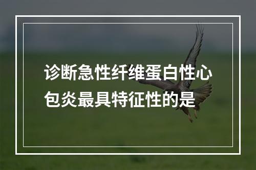 诊断急性纤维蛋白性心包炎最具特征性的是