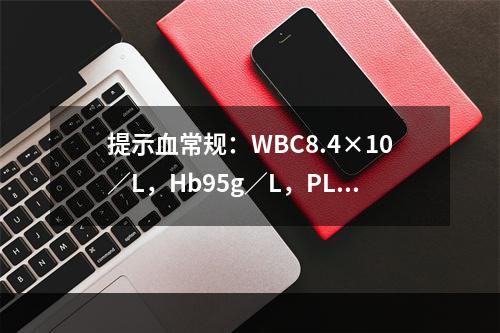 提示血常规：WBC8.4×10／L，Hb95g／L，PLT2