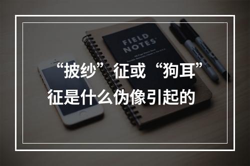 “披纱”征或“狗耳”征是什么伪像引起的