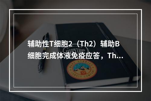 辅助性T细胞2（Th2）辅助B细胞完成体液免疫应答，Th2细