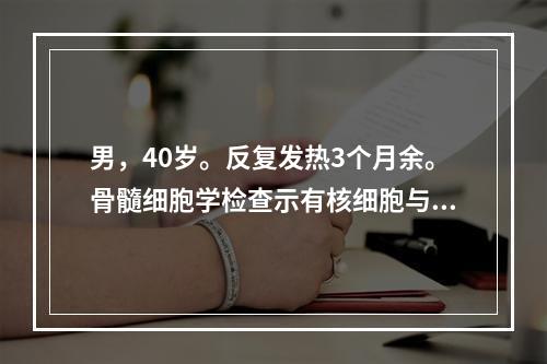 男，40岁。反复发热3个月余。骨髓细胞学检查示有核细胞与成熟