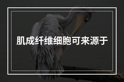 肌成纤维细胞可来源于