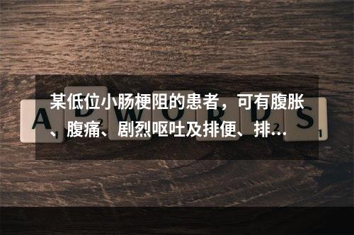 某低位小肠梗阻的患者，可有腹胀、腹痛、剧烈呕吐及排便、排气停