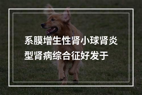 系膜增生性肾小球肾炎型肾病综合征好发于