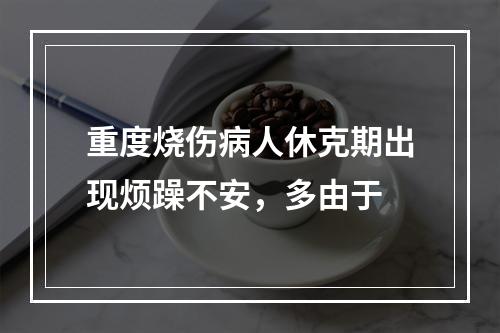 重度烧伤病人休克期出现烦躁不安，多由于