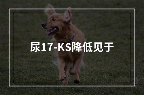 尿17-KS降低见于