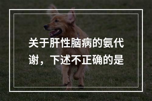 关于肝性脑病的氨代谢，下述不正确的是