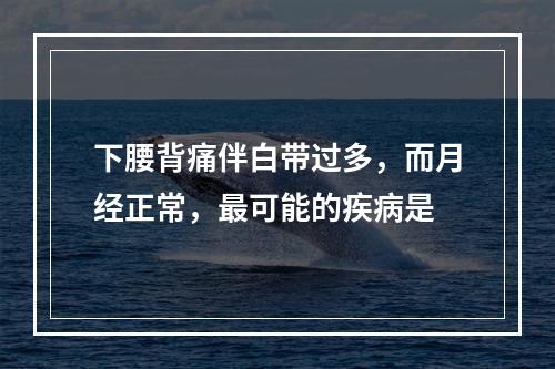 下腰背痛伴白带过多，而月经正常，最可能的疾病是