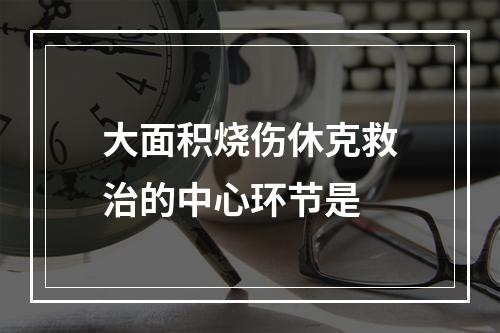 大面积烧伤休克救治的中心环节是