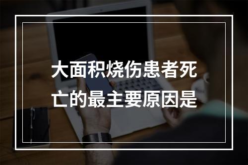 大面积烧伤患者死亡的最主要原因是