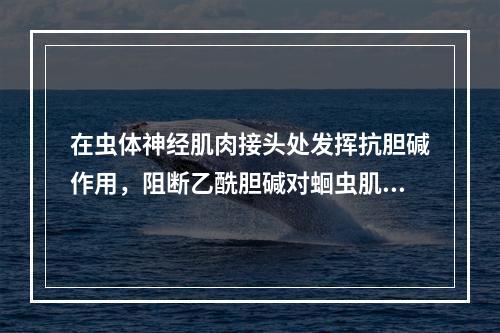 在虫体神经肌肉接头处发挥抗胆碱作用，阻断乙酰胆碱对蛔虫肌肉的