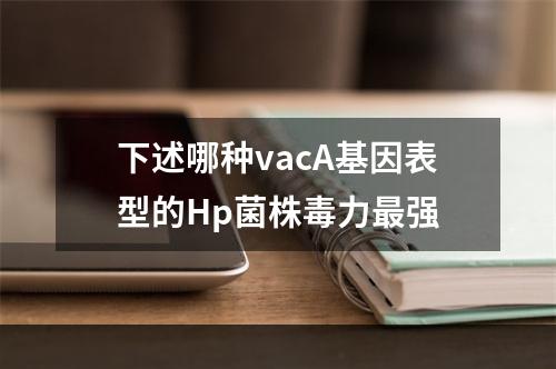 下述哪种vacA基因表型的Hp菌株毒力最强