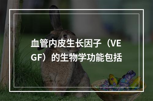 血管内皮生长因子（VEGF）的生物学功能包括