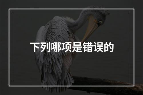 下列哪项是错误的