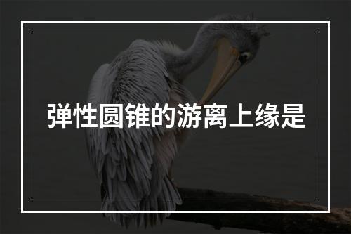 弹性圆锥的游离上缘是