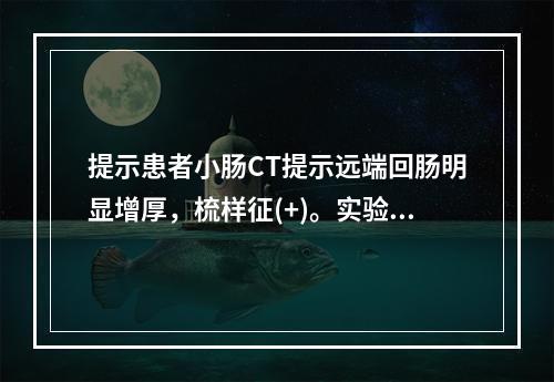 提示患者小肠CT提示远端回肠明显增厚，梳样征(+)。实验室检