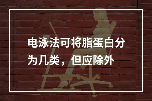 电泳法可将脂蛋白分为几类，但应除外