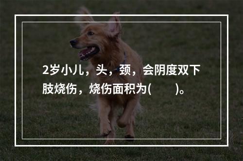 2岁小儿，头，颈，会阴度双下肢烧伤，烧伤面积为(　　)。