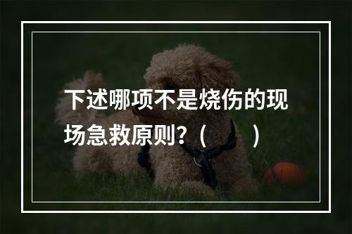 下述哪项不是烧伤的现场急救原则？(　　)