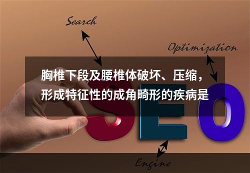 胸椎下段及腰椎体破坏、压缩，形成特征性的成角畸形的疾病是