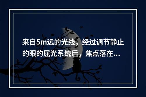 来自5m远的光线，经过调节静止的眼的屈光系统后，焦点落在视网