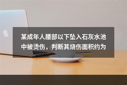 某成年人腰部以下坠入石灰水池中被烫伤，判断其烧伤面积约为