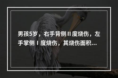 男孩5岁，右手背侧Ⅱ度烧伤，左手掌侧Ⅰ度烧伤，其烧伤面积为(