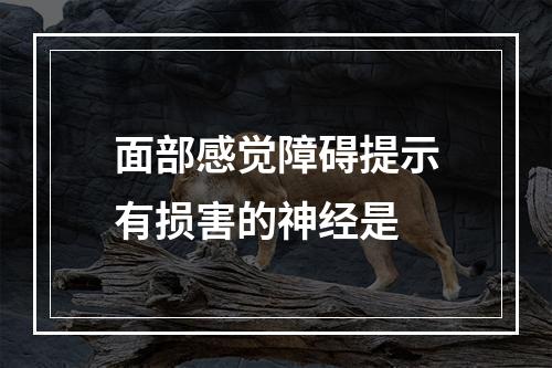 面部感觉障碍提示有损害的神经是