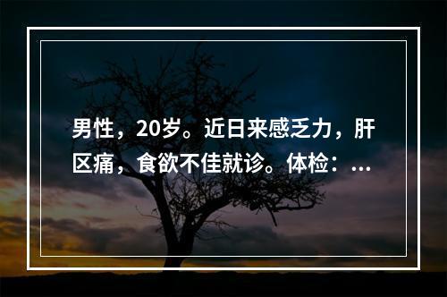 男性，20岁。近日来感乏力，肝区痛，食欲不佳就诊。体检：肝肋