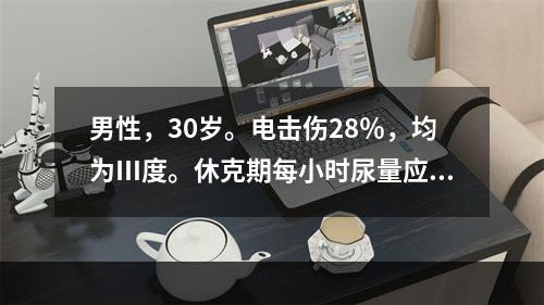 男性，30岁。电击伤28％，均为Ⅲ度。休克期每小时尿量应维持