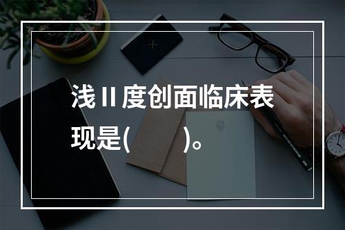 浅Ⅱ度创面临床表现是(　　)。