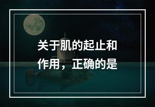 关于肌的起止和作用，正确的是