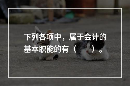 下列各项中，属于会计的基本职能的有（　　）。