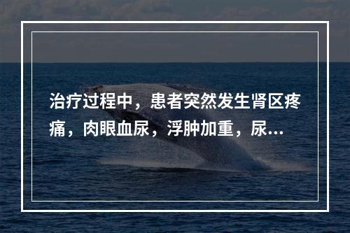 治疗过程中，患者突然发生肾区疼痛，肉眼血尿，浮肿加重，尿蛋白