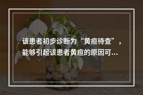 该患者初步诊断为“黄疸待查”，能够引起该患者黄疸的原因可能有