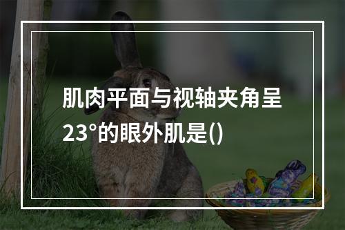 肌肉平面与视轴夹角呈23°的眼外肌是()